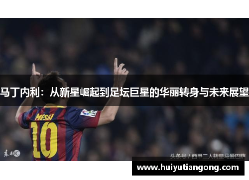 马丁内利:从新星崛起到足坛巨星的华丽转身与未来展望